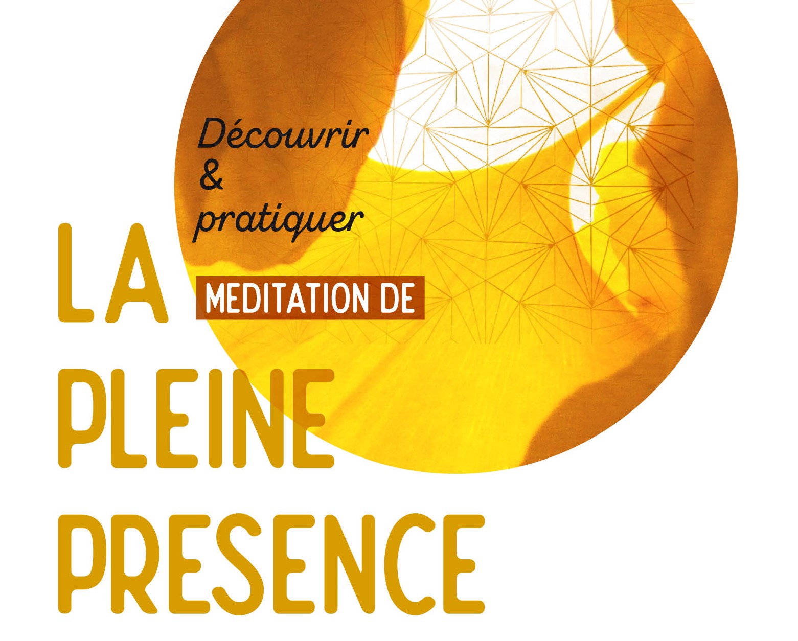 affiche 680120
